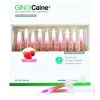 Dental conduit - hygiene - GINGICaine Oral Anesthetic Gel in Syringe